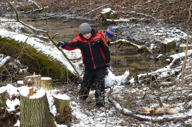 Społecznie dla natury (zdjęcia)