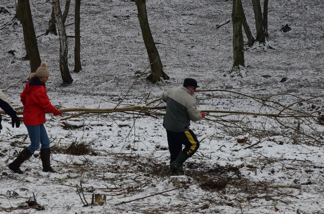Społecznie dla natury (zdjęcia)