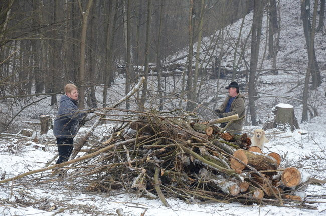 Społecznie dla natury (zdjęcia)