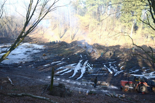 Integracja przy społecznej pracy (zdjęcia)