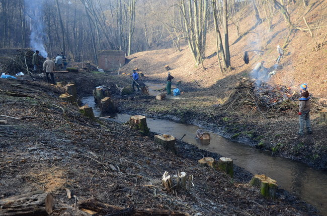 Integracja przy społecznej pracy (zdjęcia)
