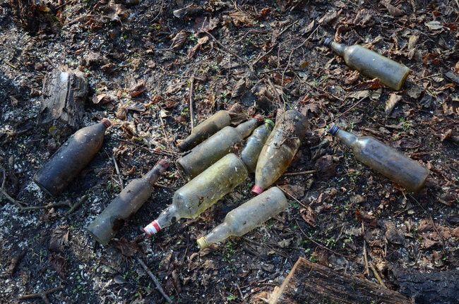 Integracja przy społecznej pracy (zdjęcia)