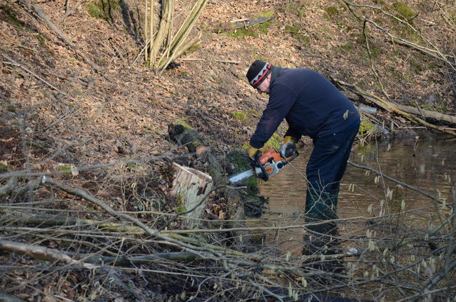 Integracja przy społecznej pracy (zdjęcia)