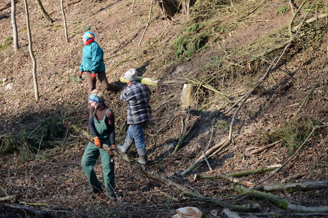 Integracja przy społecznej pracy (zdjęcia)