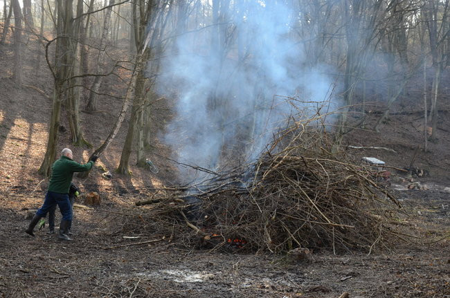 Integracja przy społecznej pracy (zdjęcia)