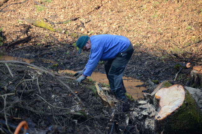 Integracja przy społecznej pracy (zdjęcia)