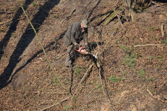 Integracja przy społecznej pracy (zdjęcia)