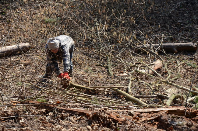Integracja przy społecznej pracy (zdjęcia)