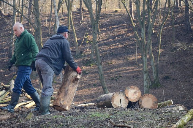 Integracja przy społecznej pracy (zdjęcia)