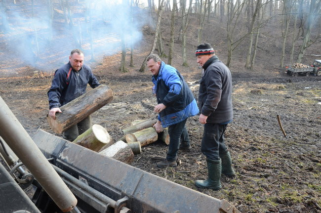 Integracja przy społecznej pracy (zdjęcia)