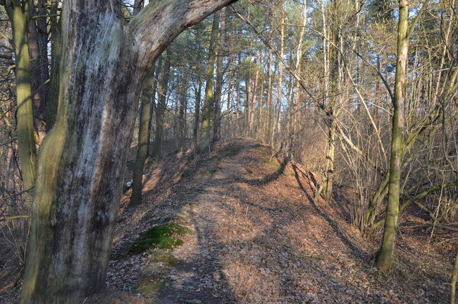 Integracja przy społecznej pracy (zdjęcia)