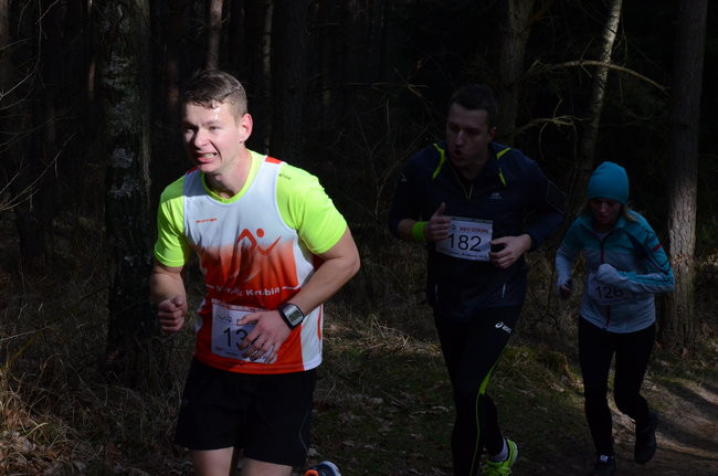 Rekord w grzybowskim lesie (zdjęcia)