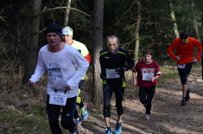 Rekord w grzybowskim lesie (zdjęcia)