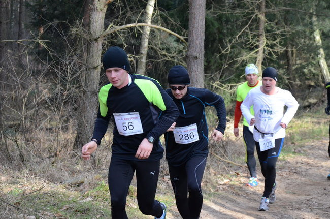 Rekord w grzybowskim lesie (zdjęcia)