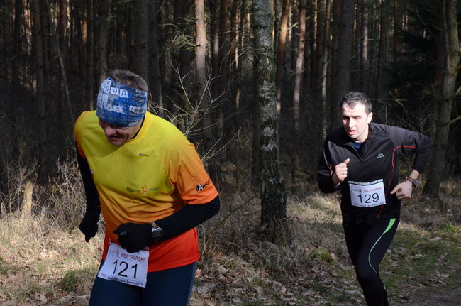 Rekord w grzybowskim lesie (zdjęcia)