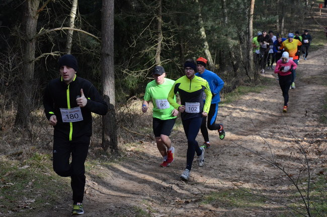 Rekord w grzybowskim lesie (zdjęcia)