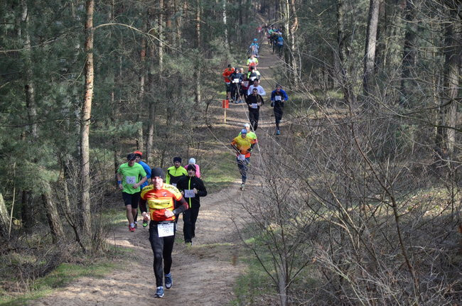 Rekord w grzybowskim lesie (zdjęcia)