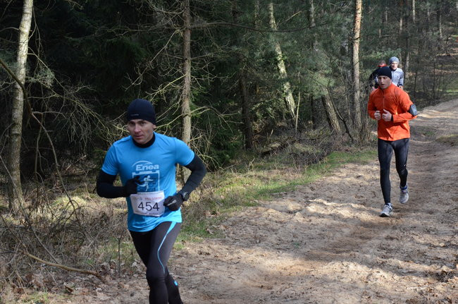 Rekord w grzybowskim lesie (zdjęcia)