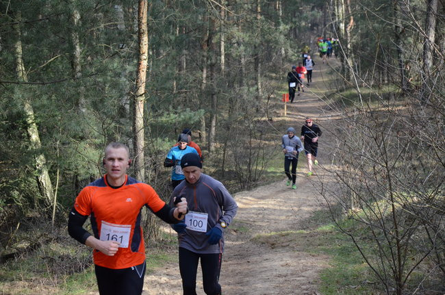 Rekord w grzybowskim lesie (zdjęcia)