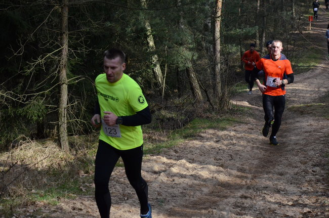 Rekord w grzybowskim lesie (zdjęcia)