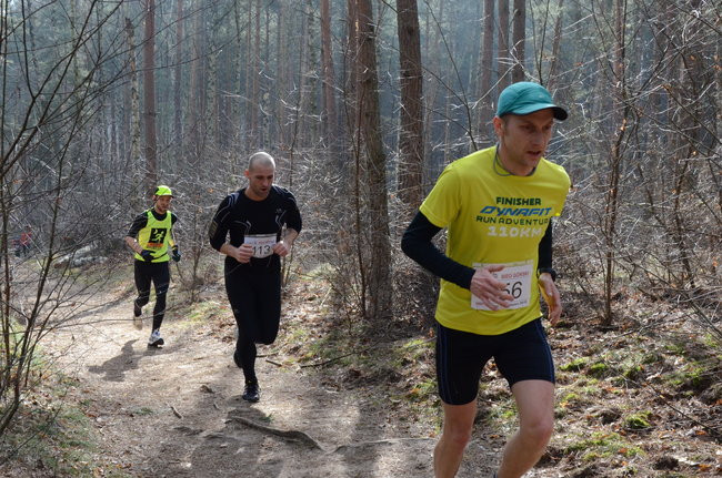 Rekord w grzybowskim lesie (zdjęcia)