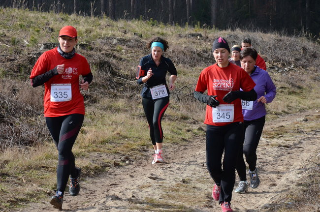 Rekord w grzybowskim lesie (zdjęcia)