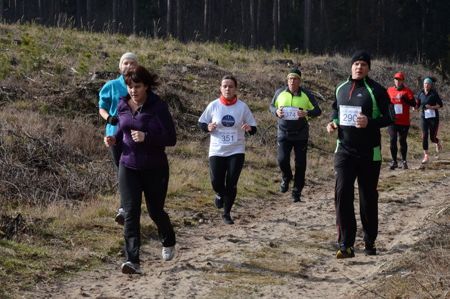 Rekord w grzybowskim lesie (zdjęcia)
