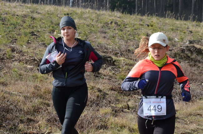 Rekord w grzybowskim lesie (zdjęcia)