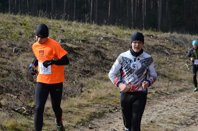Rekord w grzybowskim lesie (zdjęcia)