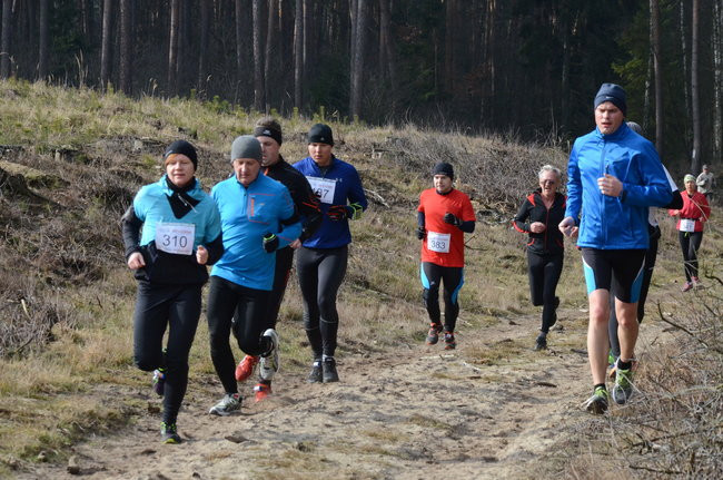 Rekord w grzybowskim lesie (zdjęcia)