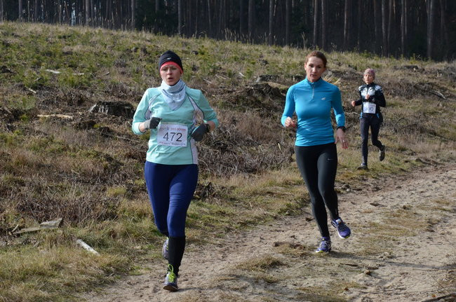 Rekord w grzybowskim lesie (zdjęcia)