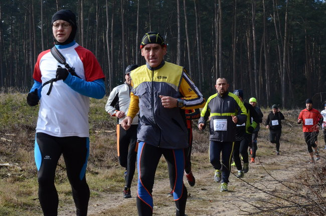 Rekord w grzybowskim lesie (zdjęcia)