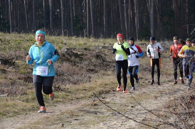 Rekord w grzybowskim lesie (zdjęcia)