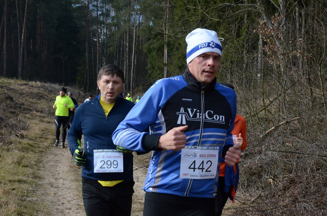 Rekord w grzybowskim lesie (zdjęcia)