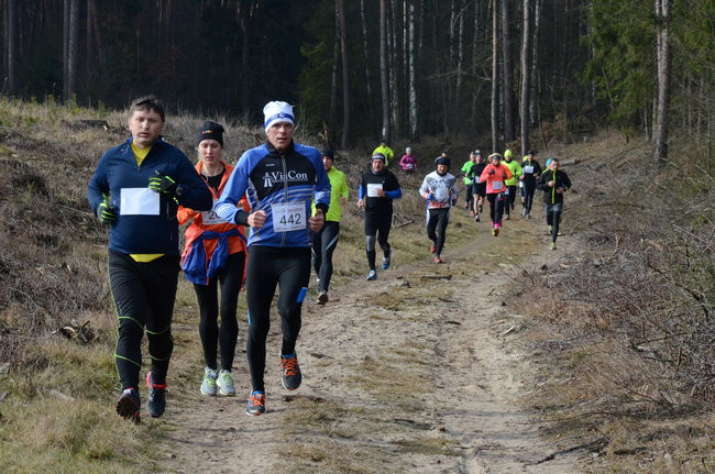 Rekord w grzybowskim lesie (zdjęcia)