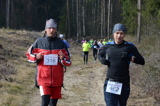 Rekord w grzybowskim lesie (zdjęcia)