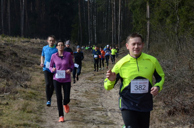 Rekord w grzybowskim lesie (zdjęcia)