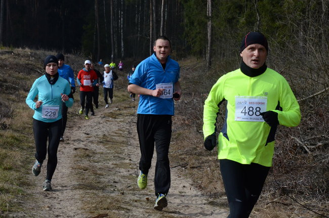 Rekord w grzybowskim lesie (zdjęcia)