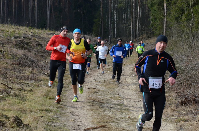 Rekord w grzybowskim lesie (zdjęcia)