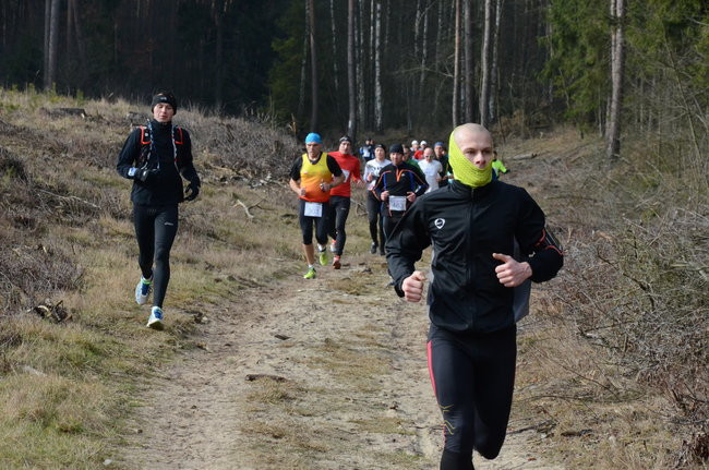 Rekord w grzybowskim lesie (zdjęcia)