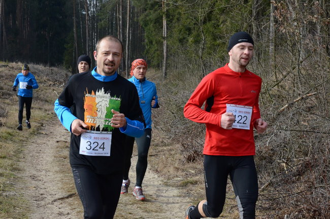 Rekord w grzybowskim lesie (zdjęcia)