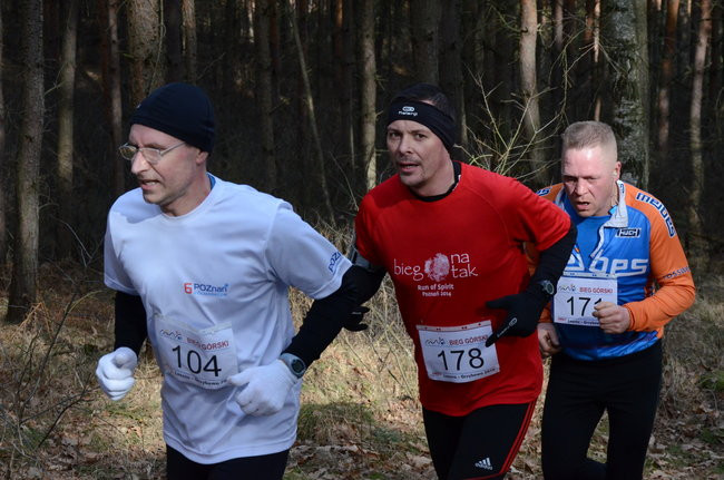 Rekord w grzybowskim lesie (zdjęcia)