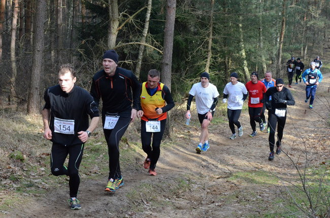 Rekord w grzybowskim lesie (zdjęcia)