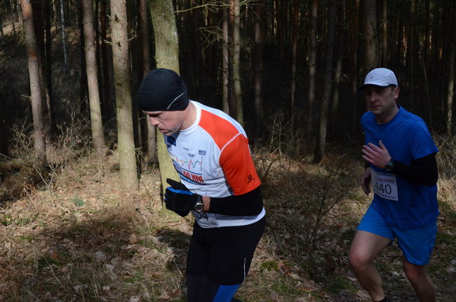 Rekord w grzybowskim lesie (zdjęcia)