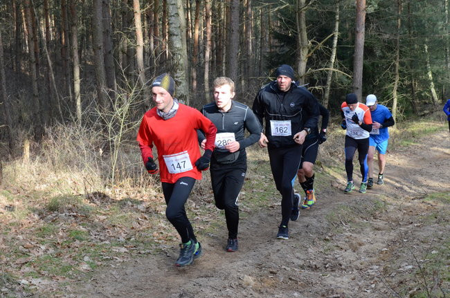 Rekord w grzybowskim lesie (zdjęcia)