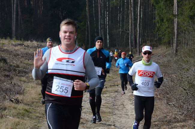 Rekord w grzybowskim lesie (zdjęcia)