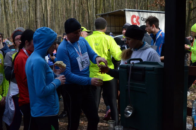 Rekord w grzybowskim lesie (zdjęcia)