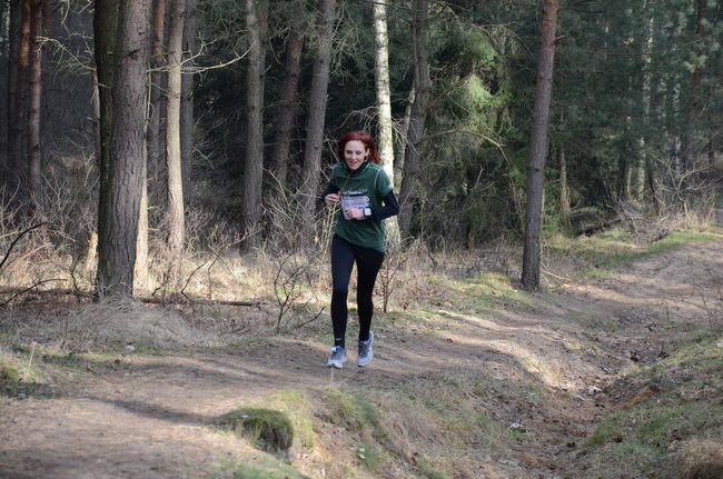 Rekord w grzybowskim lesie (zdjęcia)