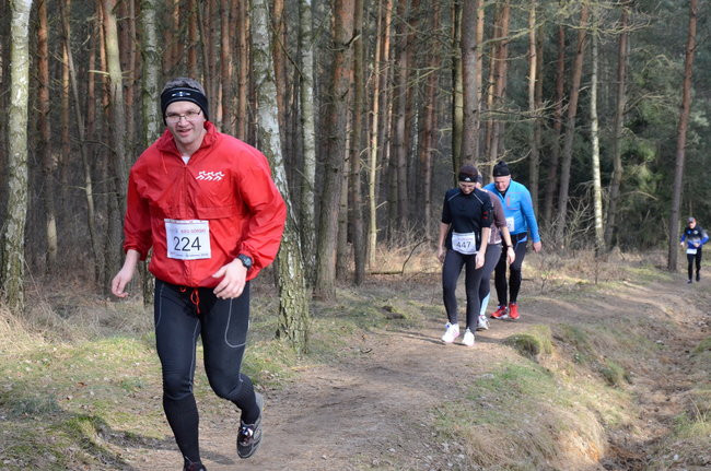 Rekord w grzybowskim lesie (zdjęcia)