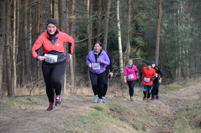 Rekord w grzybowskim lesie (zdjęcia)
